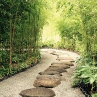 一般財団法人蓼科笹類植物園 さんのプロフィール写真