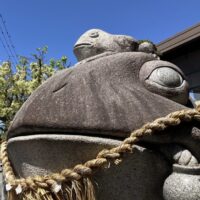 有限会社シンリク観光 さんのプロフィール写真